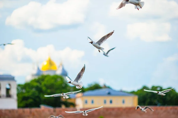 Veliky Novgorod, Rusland. Novgorod Kremlin bij de rivier de Volchov — Stockfoto