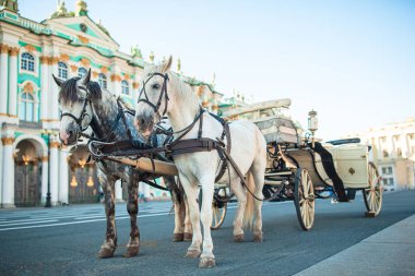 Rusya 'da St Petersburg' daki Saray Meydanı