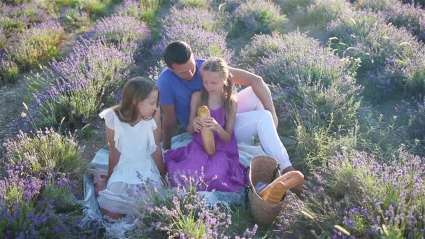 Günbatımında lavanta çiçeği tarlasında bir aile — Stok video