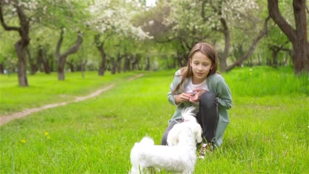 Dos niños pequeños de picnic en el parque — Vídeo de stock