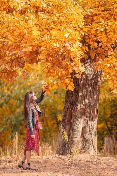 Podzimní koncepce - krásná žena v podzimním parku pod podzimním listím — Stock fotografie