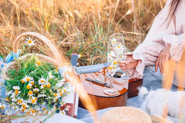 Primer plano del picnic sobre la naturaleza en el campo de trigo. — Foto de Stock