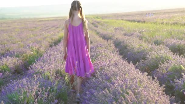 Mulher no campo de flores de lavanda ao pôr do sol em vestido branco e chapéu — Vídeo de Stock