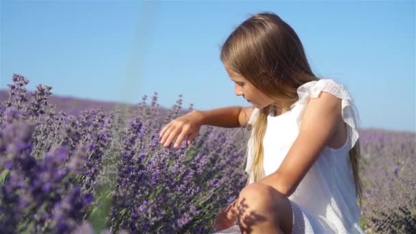 Menina bonito em lavanda flores campo — Vídeo de Stock