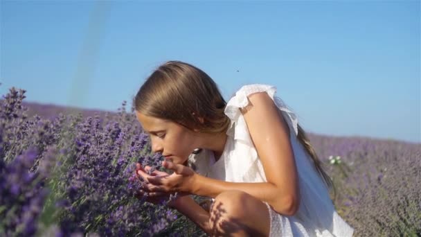 Mujer en el campo de flores de lavanda al atardecer en vestido blanco y sombrero — Vídeos de Stock