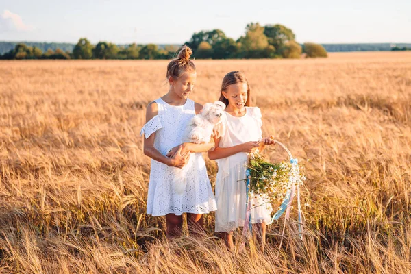 Meninas felizes no campo de trigo. Meninas bonitas em vestidos brancos ao ar livre — Fotografia de Stock