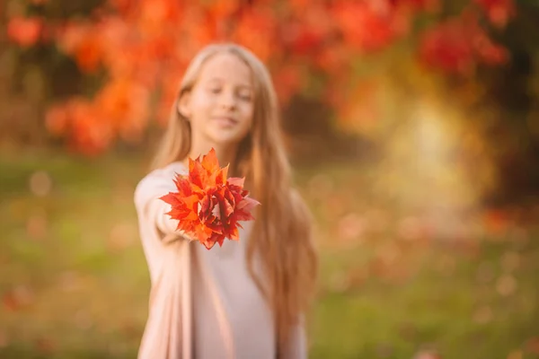 秋天黄叶花束的可爱小女孩的画像 — 图库照片