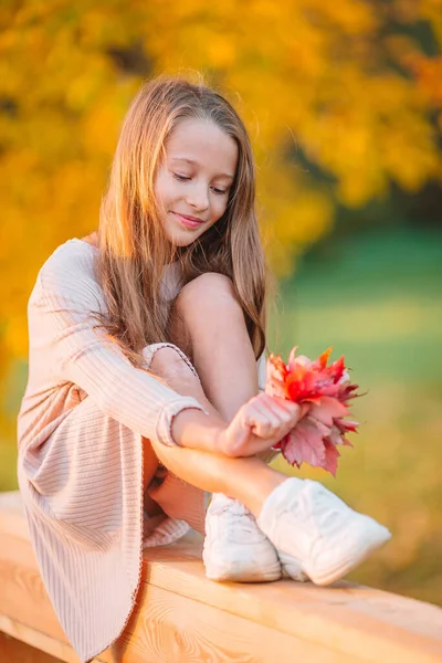 Retrato de niña adorable con ramo de hojas amarillas en otoño —  Fotos de Stock