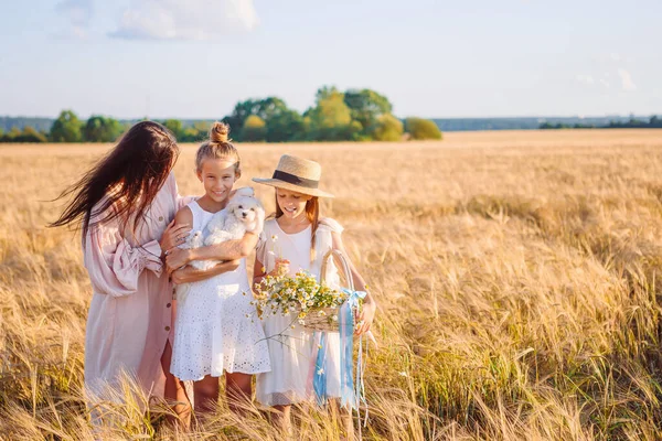 Família feliz jogando em um campo de trigo — Fotografia de Stock