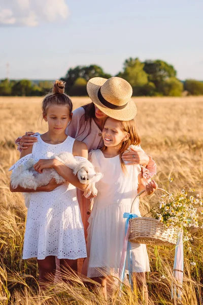 Happy family playing in a wheat field — Stock Photo, Image