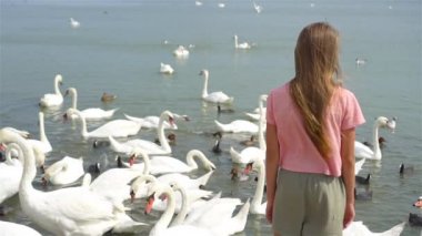 Kuğularla kumsalda oturan küçük kız.