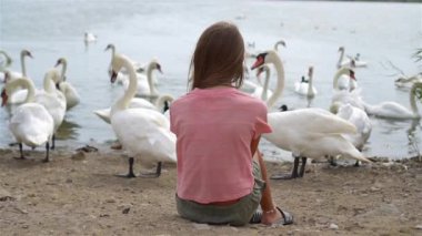 Kuğularla kumsalda oturan küçük kız.