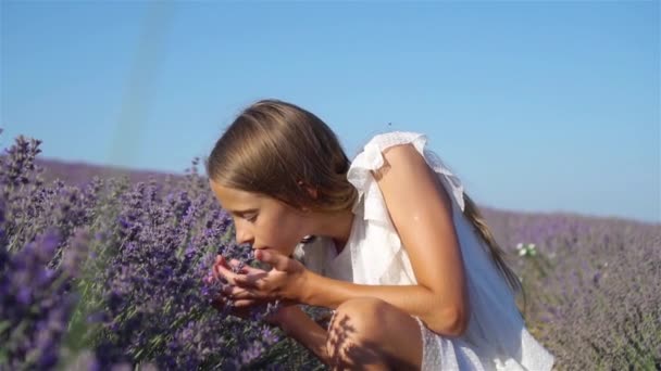 Mulher no campo de flores de lavanda ao pôr do sol em vestido branco e chapéu — Vídeo de Stock