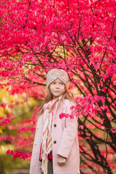 아름다운 가을 날 야외에서 사랑 스러운 어린 소녀 — 스톡 사진