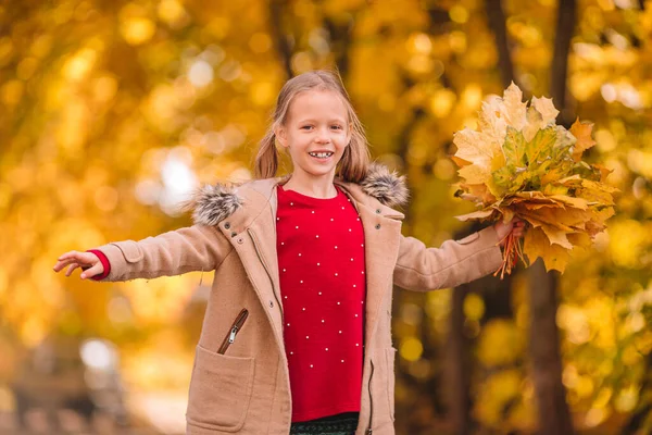 Portrait d'adorable petite fille avec bouquet de feuilles jaunes à l'automne — Photo