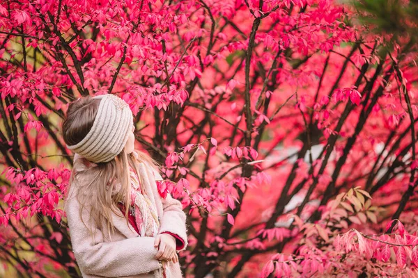 Adorable little girl at beautiful autumn day outdoors — Stock Photo, Image