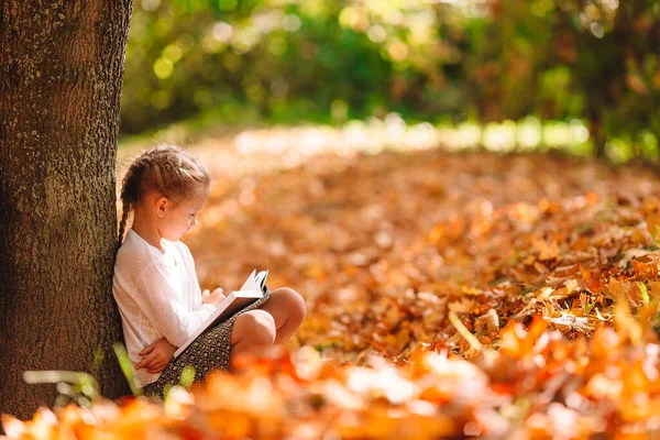 Menina adorável no belo dia de outono ao ar livre — Fotografia de Stock