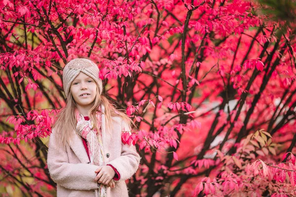 Adorable little girl at beautiful autumn day outdoors — Stock Photo, Image