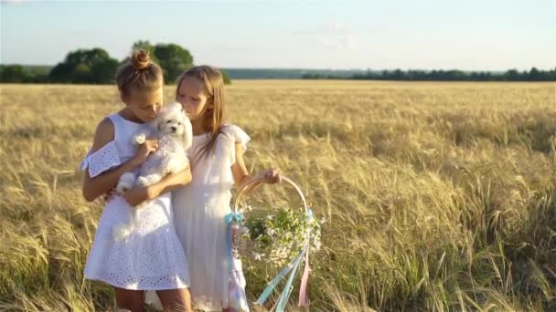 Счастливые девочки на пшеничном поле. Красивые девушки в белых платьях на открытом воздухе — стоковое видео