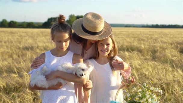 Счастливая семья играет на пшеничном поле — стоковое видео
