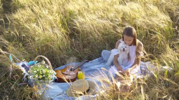 Glückliches Kind im Weizenfeld spielt mit Hund — Stockvideo