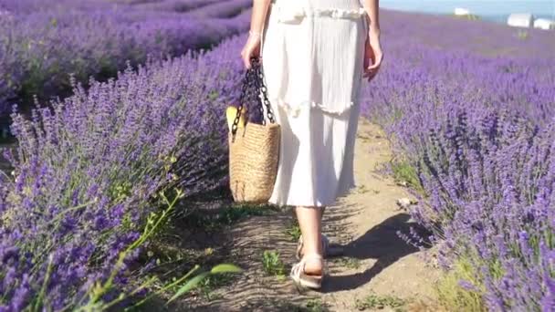 Mulher no campo de flores de lavanda ao pôr do sol em vestido branco e chapéu — Vídeo de Stock