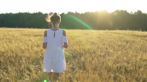 Очаровательная дошкольница, счастливо гуляющая по пшеничному полю в теплый солнечный летний день — стоковое видео
