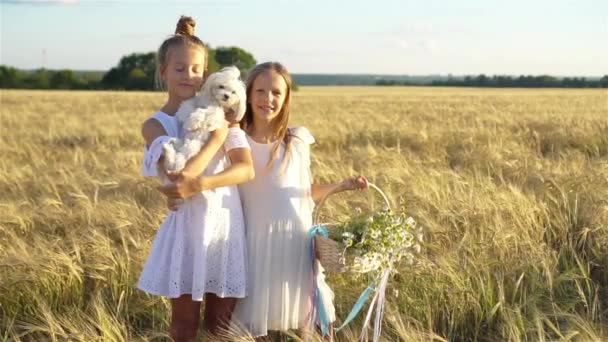 Glückliche Mädchen im Weizenfeld. Schöne Mädchen in weißen Kleidern im Freien — Stockvideo