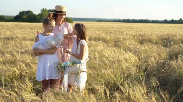 O familie fericită jucându-se pe un teren de grâu — Videoclip de stoc