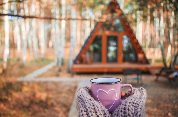 Sıcak çay fincanı sıcak kadın elleri yün süveter içinde rahat bir evin arka planında — Stok fotoğraf