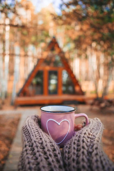 Sıcak çay fincanı sıcak kadın elleri yün süveter içinde rahat bir evin arka planında — Stok fotoğraf