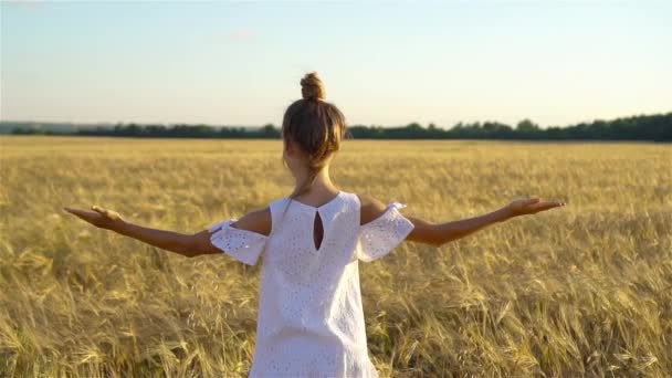 Чарівна дівчина дошкільнята, що щасливо ходить у пшеничному полі в теплий і сонячний літній день — стокове відео