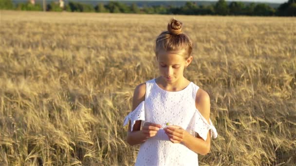 Bedårande förskoleflicka går lyckligt i vetefält på varm och solig sommardag — Stockvideo