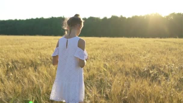 Очаровательная дошкольница, счастливо гуляющая по пшеничному полю в теплый солнечный летний день — стоковое видео