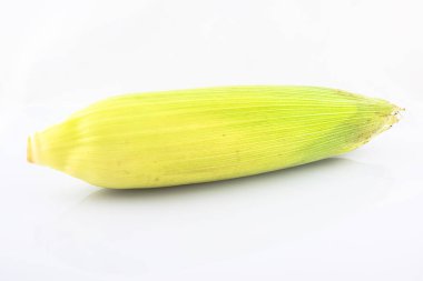 Beyaz arkaplanda izole edilmiş taze mısır koçanı.