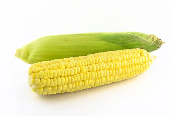 Two Fresh Corn Cob Isolated White Background — Stock Photo, Image