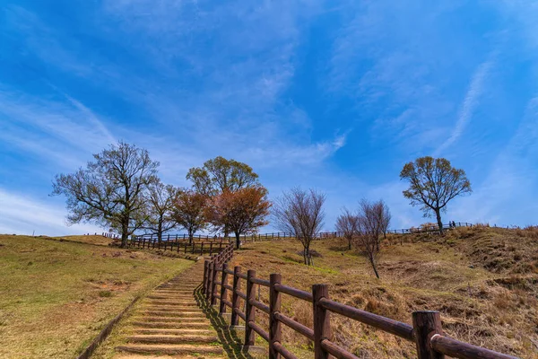 Σκάλες Πάνω Πράσινο Χορταριασμένο Λόφο Γαλάζιο Ουρανό Νάρα Ιαπωνία — Φωτογραφία Αρχείου