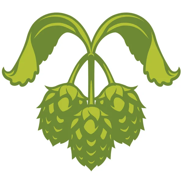 Ícone gráfico visual de vetor de lúpulo ou logotipo para cerveja — Vetor de Stock