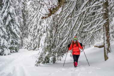 Gülümseyen genç kadın derin taze kar üzerinden hiking, kar ile bir ağacın altında gidiyor kaplı dallarda iken hiking trail Piatra Mare (Karpat) Dağları, Romanya