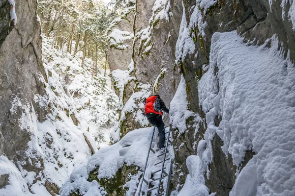 Πεζοπόρος Αναρρίχηση Σιδερένια Σκάλα Μέσα Ένα Φαράγγι Κατά Χειμερινή Ανάβαση — Φωτογραφία Αρχείου