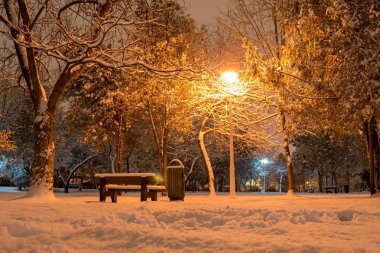 Kış, sıcak sokak ışık - Bükreş, Romanya ile doğal park görünümünde. Ağaçlar, karla kaplı park tezgah, ahşap çöp kutusu, ışık sonrası, düşük açı.