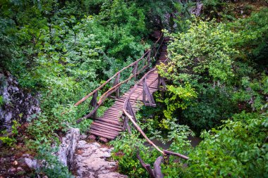 Ahşap köprü, Ekopateka Hotnitsa, Bulgaristan. Bu ecotrail Bohot nehir Veliko Tarnovo ili Hotnitsa Köyü yakınındaki birkaç kez, haçlar.