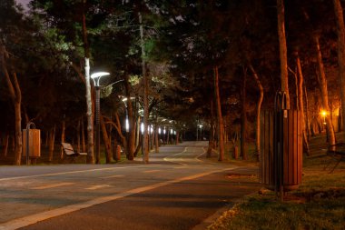 Park'ın ışık direkleri tarafından aydınlatılmış moody bisiklet yolu gece, bir şehir parkı. Alexandru Ioan Cuza park (olarak da bilinen Parcul Titan veya Parcul IOR) sektör 3, Bucharest, Romanya.