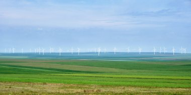 Yeşil buğday ve çavdar tarım alanları katmanları ile rüzgar türbinleri Panorama, mavimsi gökyüzü - yukarıda ve aşağıda metin için alan. Temiz, yenilenebilir enerji çözümleri konsepti.