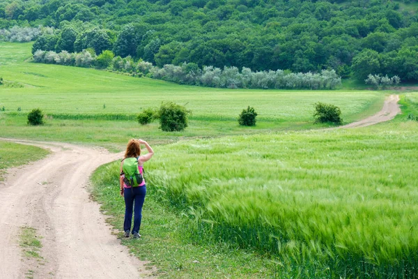 Cozluk adlı yolun başında, Romanya 'nın Dobrogea kentindeki Macin dağlarına bakan genç bir kadın görülüyor. Çavdar ve buğday tarlaları. Uzakta bir orman ağacı var..