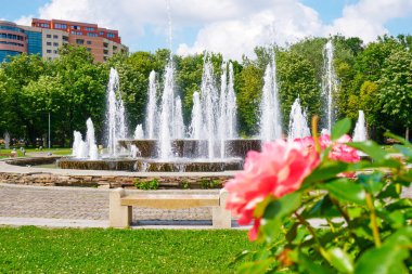 Çok sıcak bir Yaz günü boyunca, Bükreş şehir parkında (Alexandru Ioan Cuza park/Ior) mercan/pembe güller ve arkada bir apartman inşa eden Artesian çeşmesi.