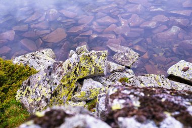 Bucura Gölü'nde yeşil likenli mor günbatımı yansımalarının ve kayaların ayrıntıları, Retezat dağlarında bir buzul gölü (Karpat dağlarının bir parçası), Romanya.
