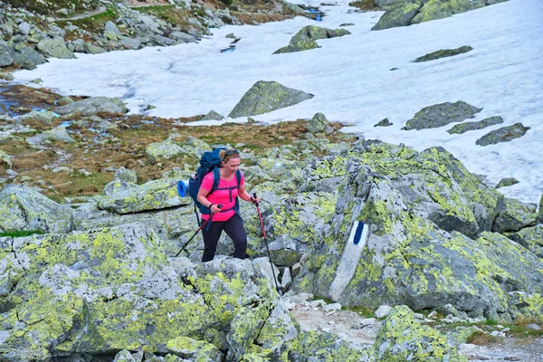 Woman hiker with bright fuchsia shirt, trekking poles, heavy backpack, on a trail in Retezat mountains (part of Carpathians), Romania, during Summer hiking season, with patches of snow still present.