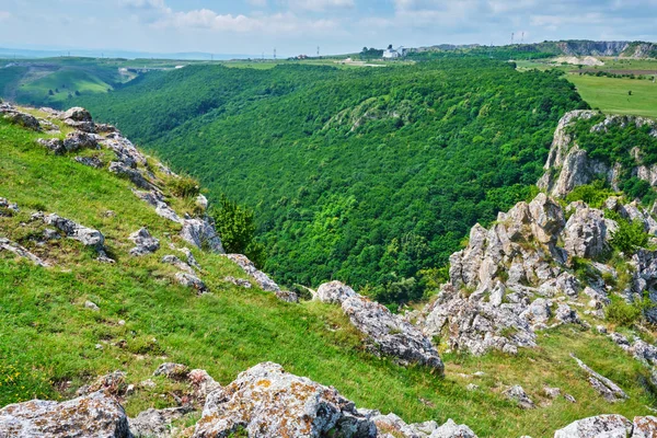 Tureni Copaceni Geçit Copaceni Köyünden Girişinde Ormana Doğru Sırttan Üst — Stok fotoğraf