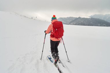 Woman ski touring on an overcast day with poor visibility, in Baiului mountains, Romania - view from behind. clipart